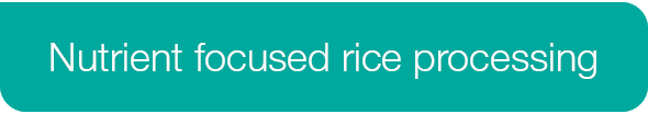 Nutrient focused rice processing