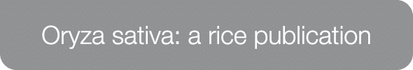 Oryza sativa: a rice publication