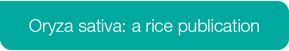 Oryza sativa: a rice publication