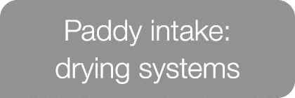 Paddy intake: drying systems